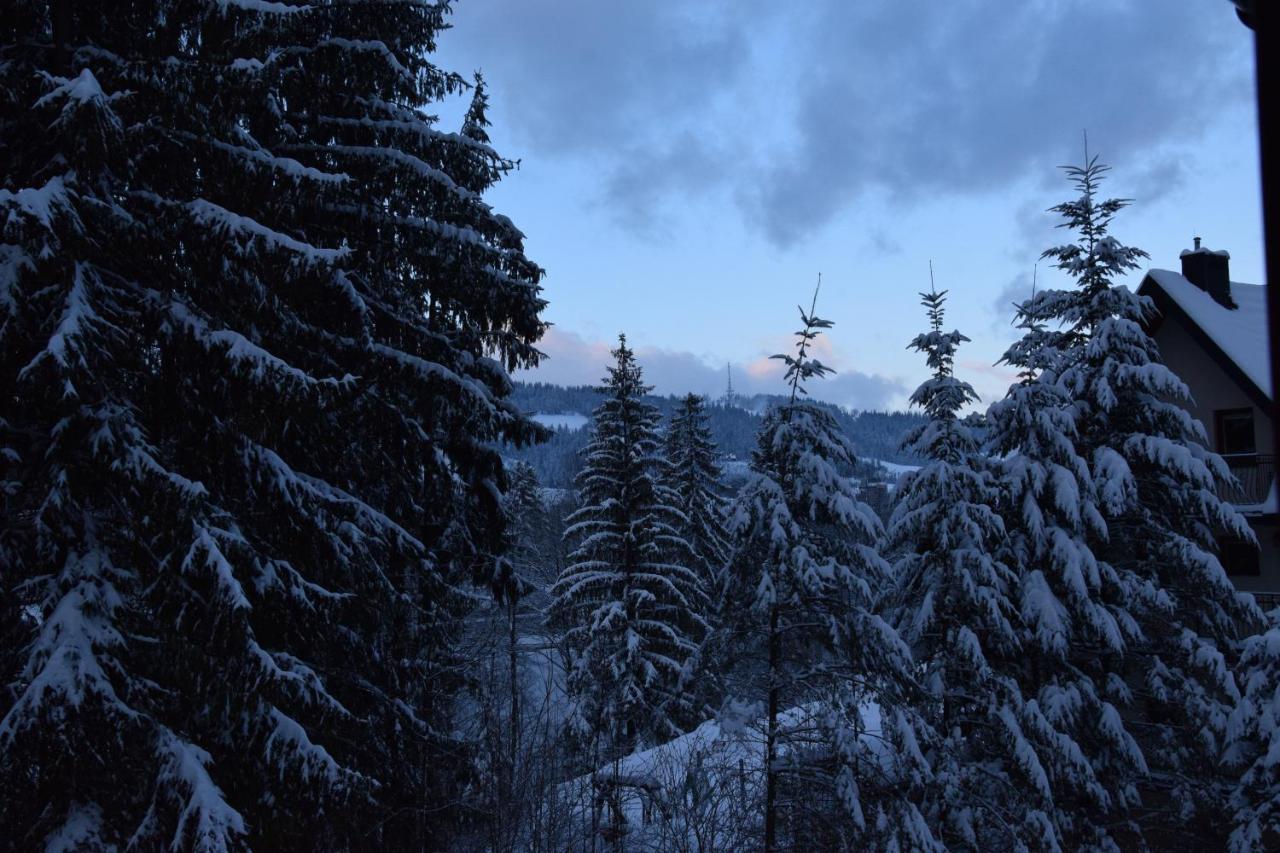 Willa Franciszek Zakopane Esterno foto